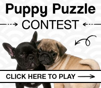 Enter to Win a $100 Target Gift Card Honey Orthodontics Gurnee IL